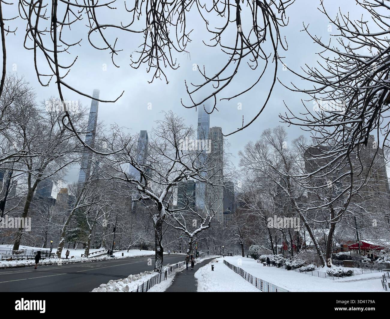 Central Park landscape with city skyline, showing seasonal changes. - Smartphone Captured Stock Image