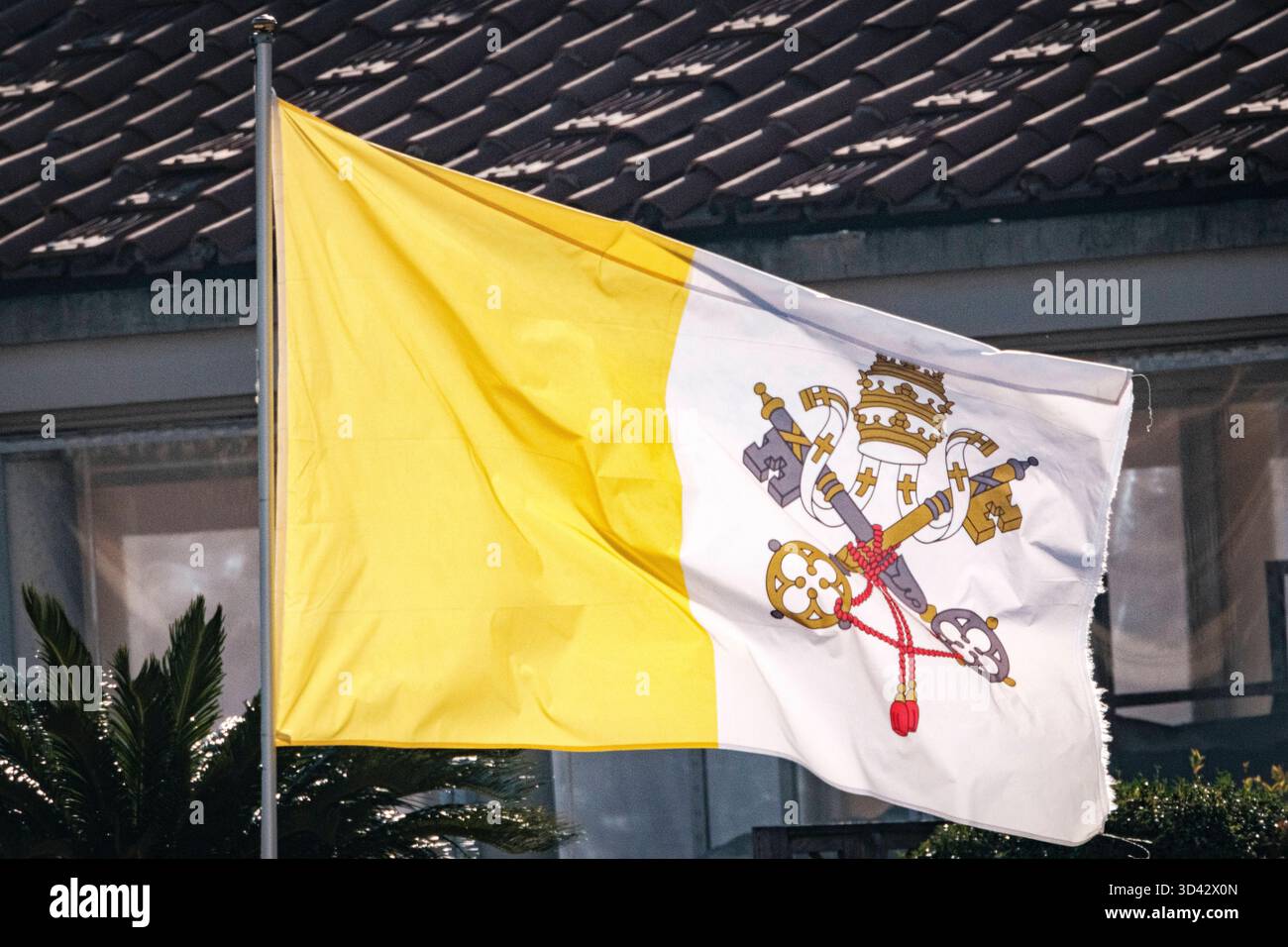 Pope Roma Flag Vatican, Jubilee Audience of Pope Leo XIV. Vatican Flag. The Pope meets ...