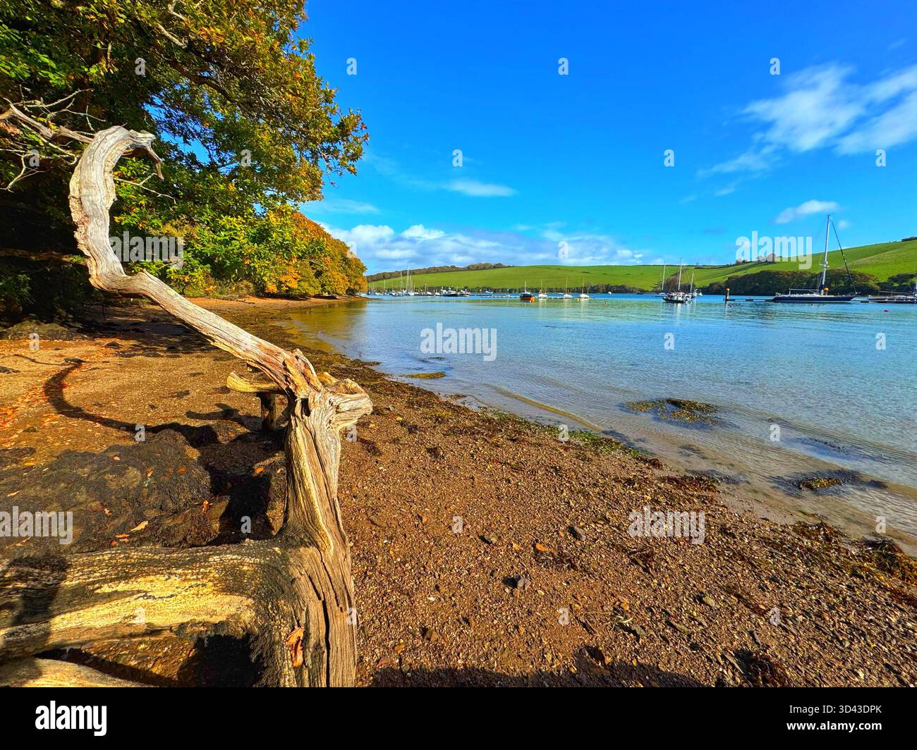 The Kingsbridge estuary, near Salcombe, Autumn. - Smartphone Captured Stock Image