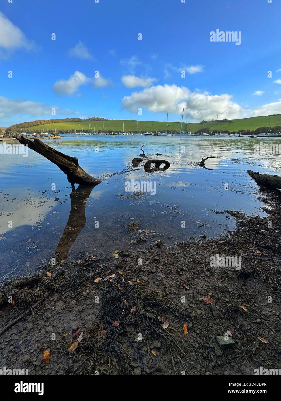 The Kingsbridge estuary, near Salcombe, Autumn. - Smartphone Captured Stock Image