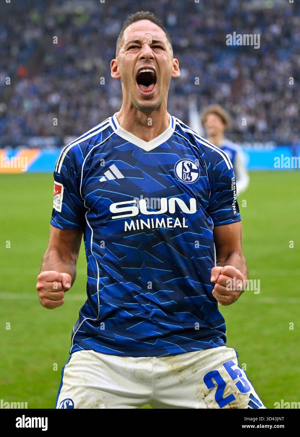 Celebration nikola katic schalke gelsenkirchen november soccer bundesliga bundesliga second division schalke sv elversberg Celebration nikola katic schalke gelsenkirchen november soccer bundesliga bundesliga second division schalke sv elversberg