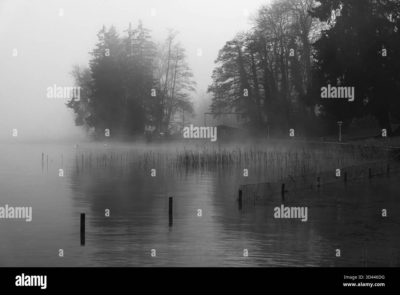 Foliage and fences Black and White Stock Photos & Images - Alamy