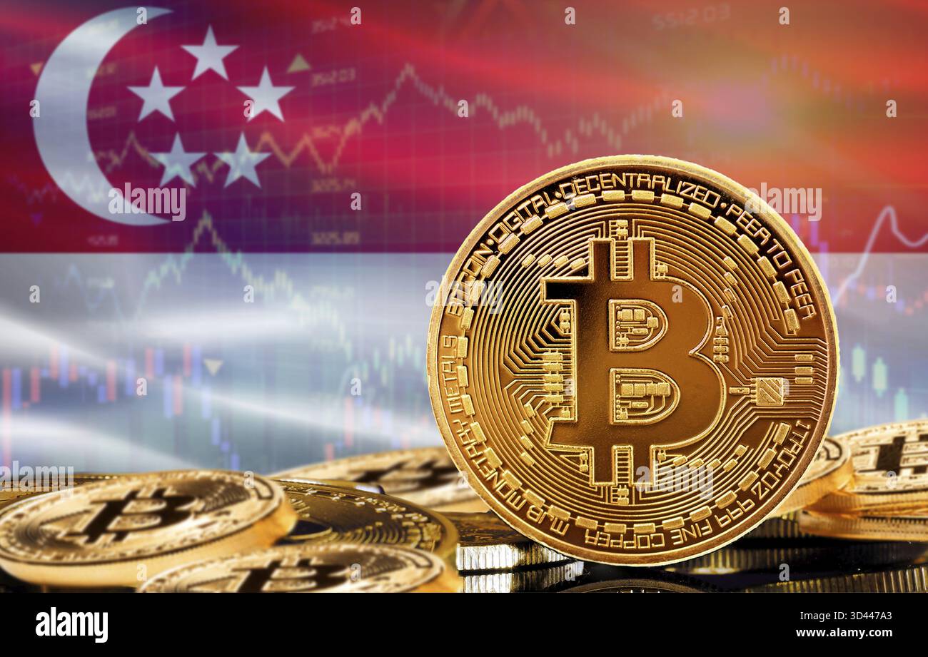 Investors in cryptocurrency and Blockchain Technology in Singapore,  Concept. Bitcoin with Singapore flag in the background Stock Photo - Alamy
