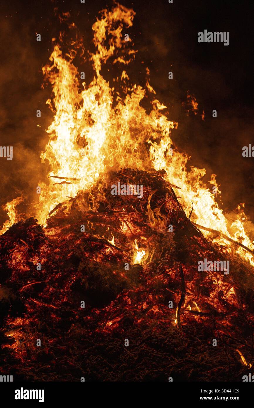 Big bonfire burning in the night Stock Photo