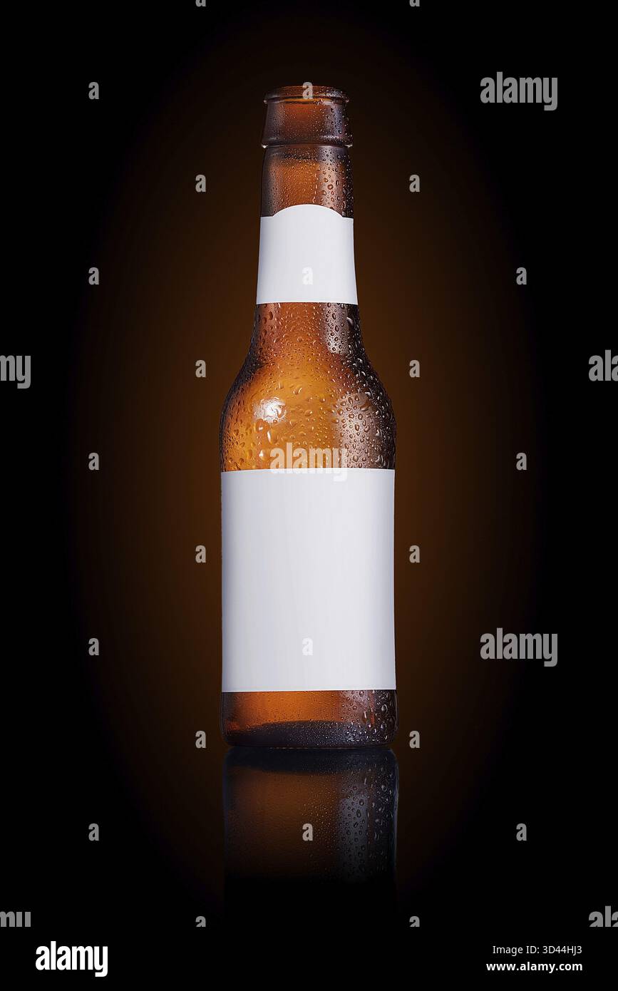 Beer bottle with a blank label on a black background Stock Photo