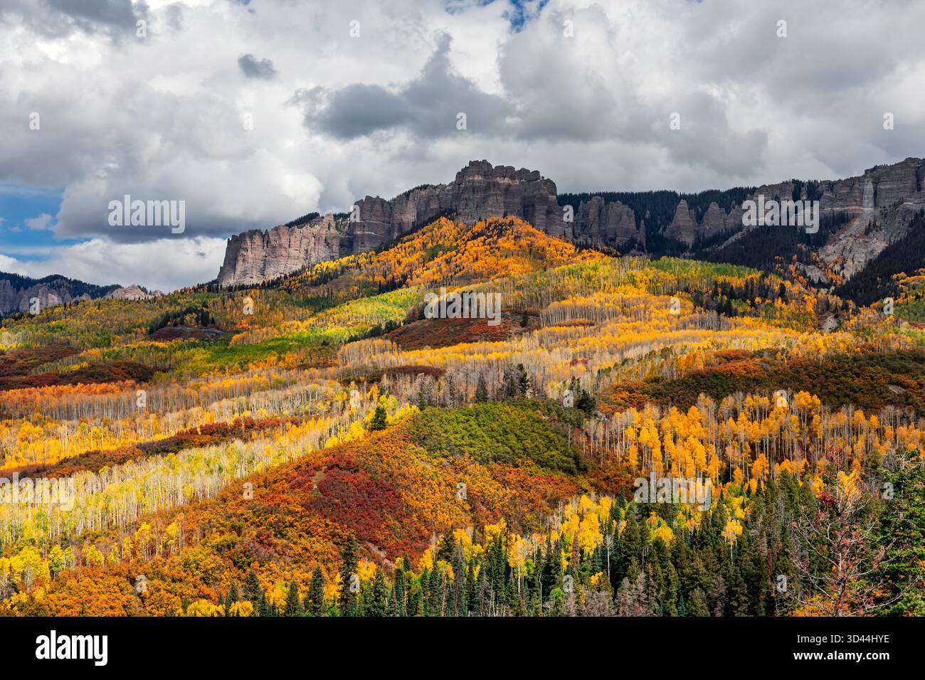Colorado fall colors along Cimarron Ridge near Owl Creek Pass Stock Photo