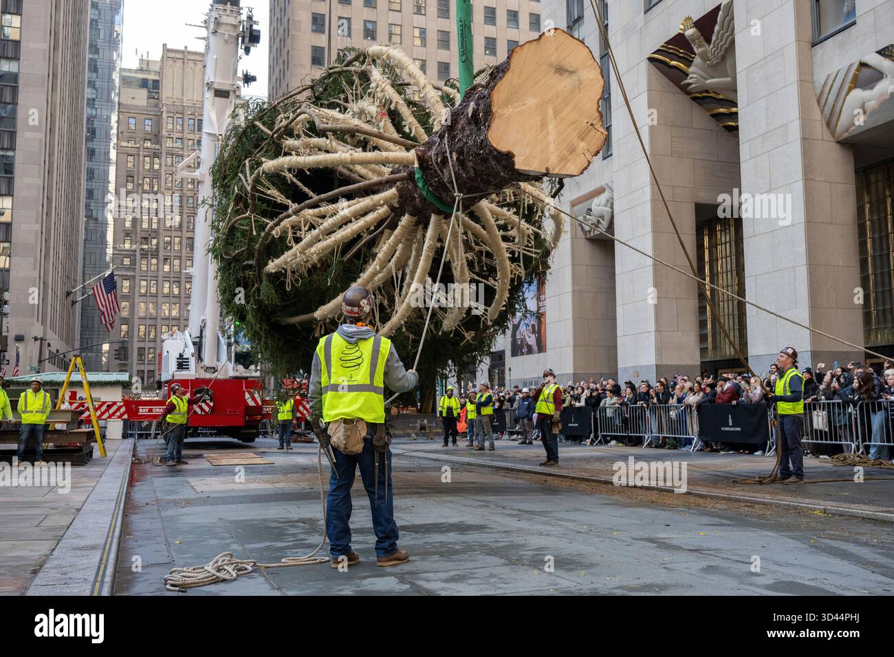 Photo by: NDZ/STAR MAX/IPx 2025 11/8/25 Workers install the Rockefeller ...