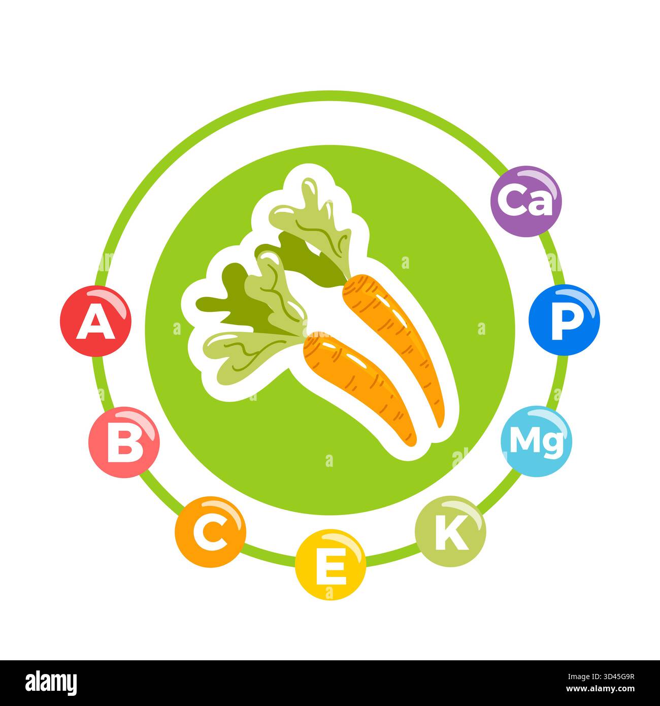 Carrot with vitamins and minerals highlighted, featuring bright orange ...