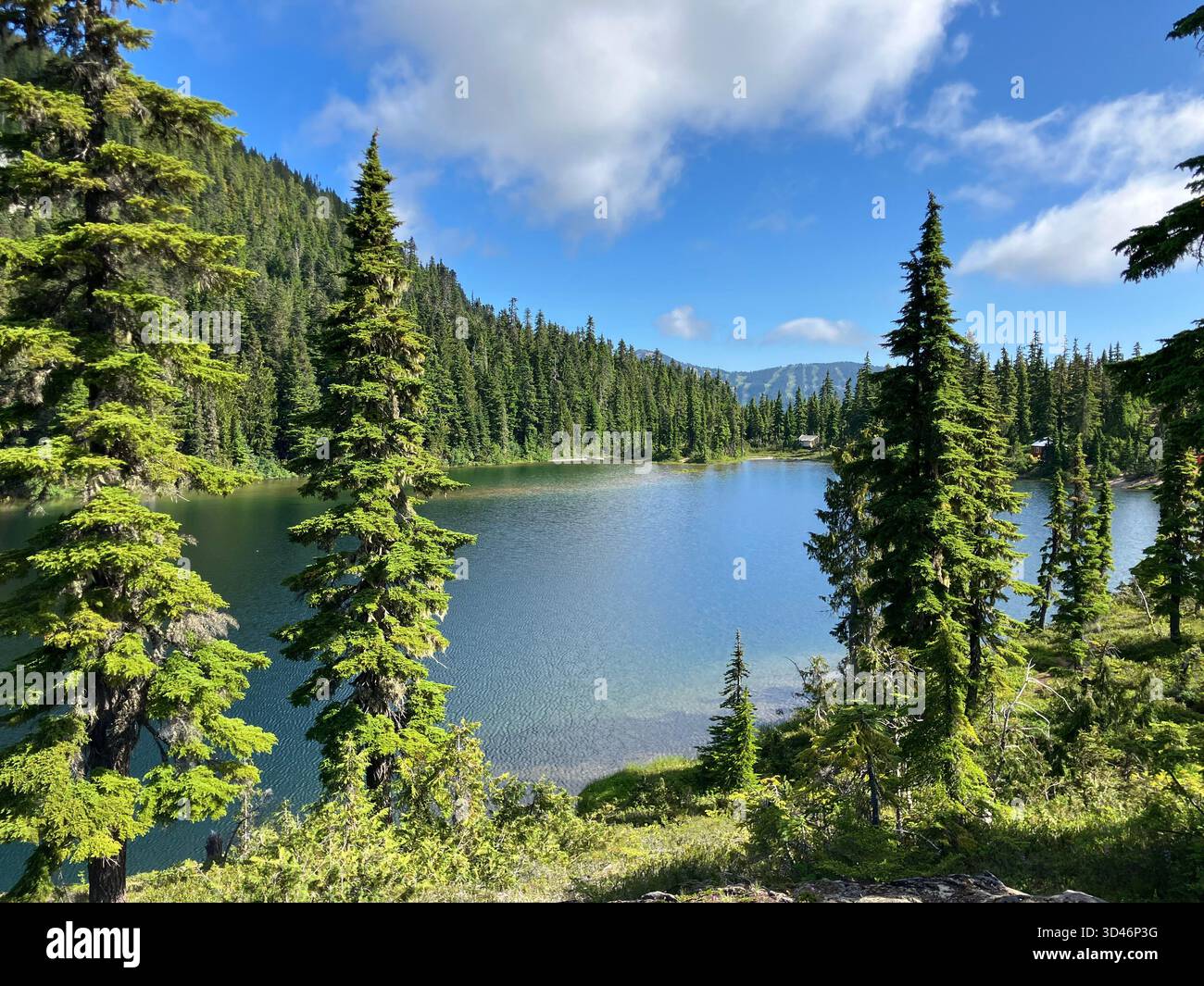 Croteau Lake, Forbidden Plateau area, Strathcona Provincial Park, Vancouver Island, British Columbia, Canada - Smartphone Captured Stock Image