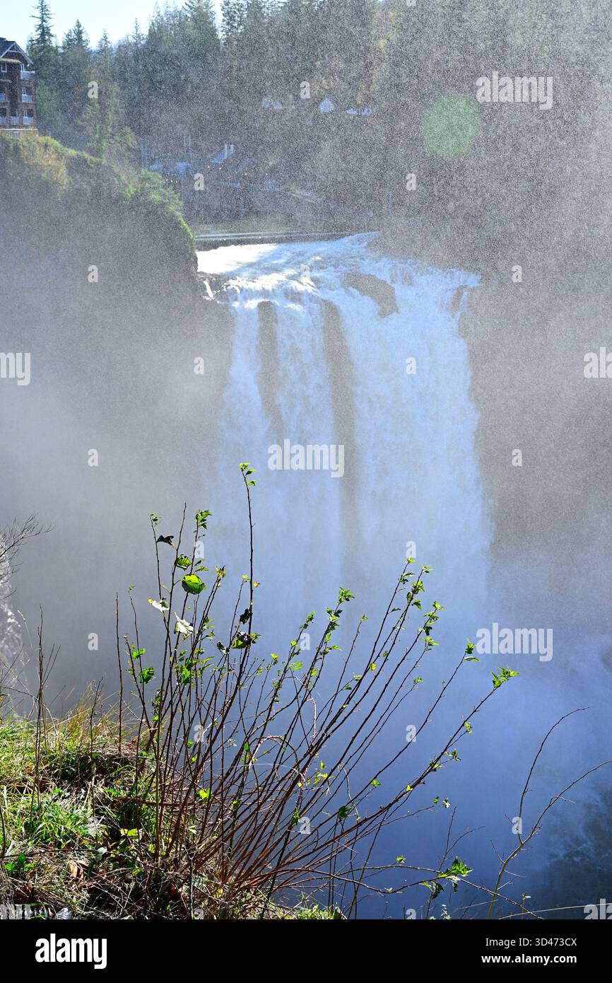 Majestic Snoqualmie Falls plunges into the river below, framed by mist and green forest in the Pacific Northwest. Stock Photo