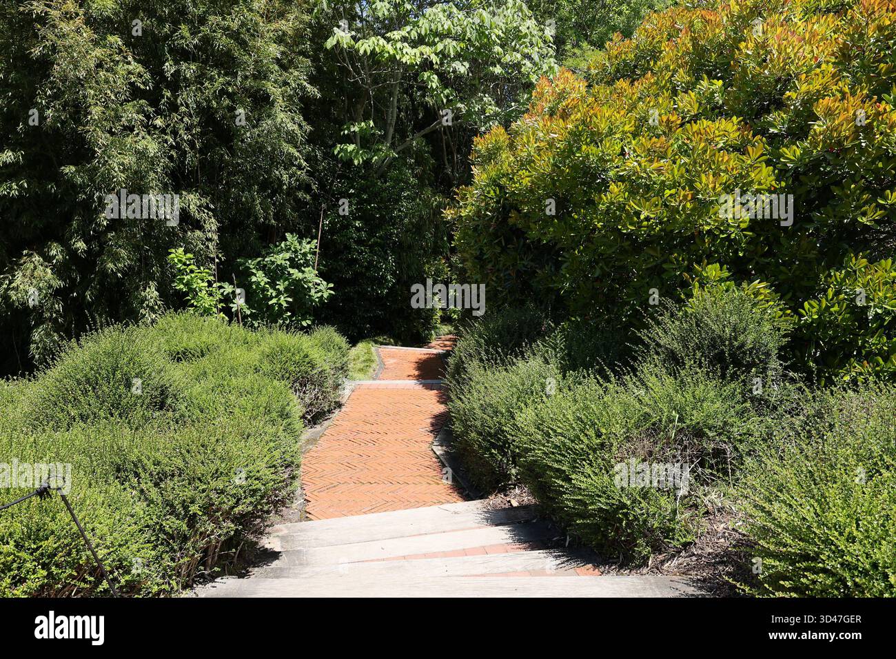 Brick path into the slope hi-res stock photography and images - Alamy