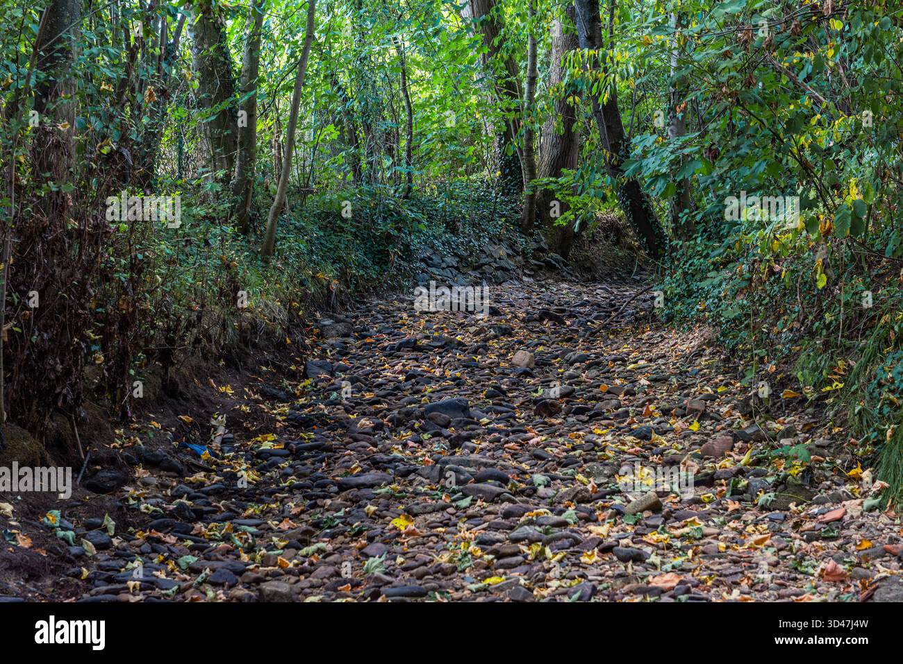Stream from the heat hi-res stock photography and images - Alamy