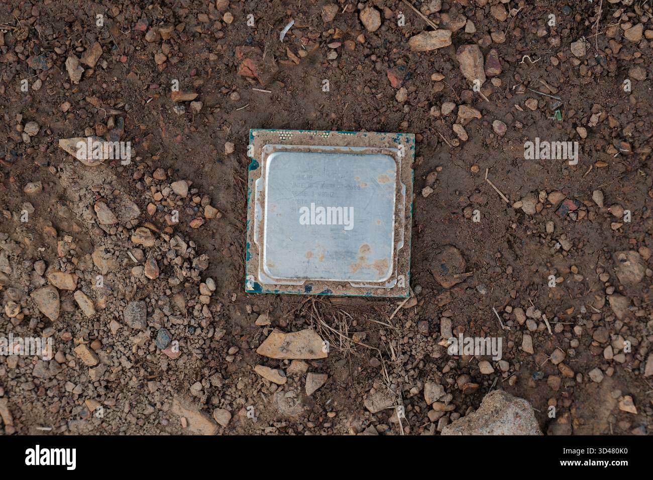 Discarded computer processor lying on soil Stock Photo