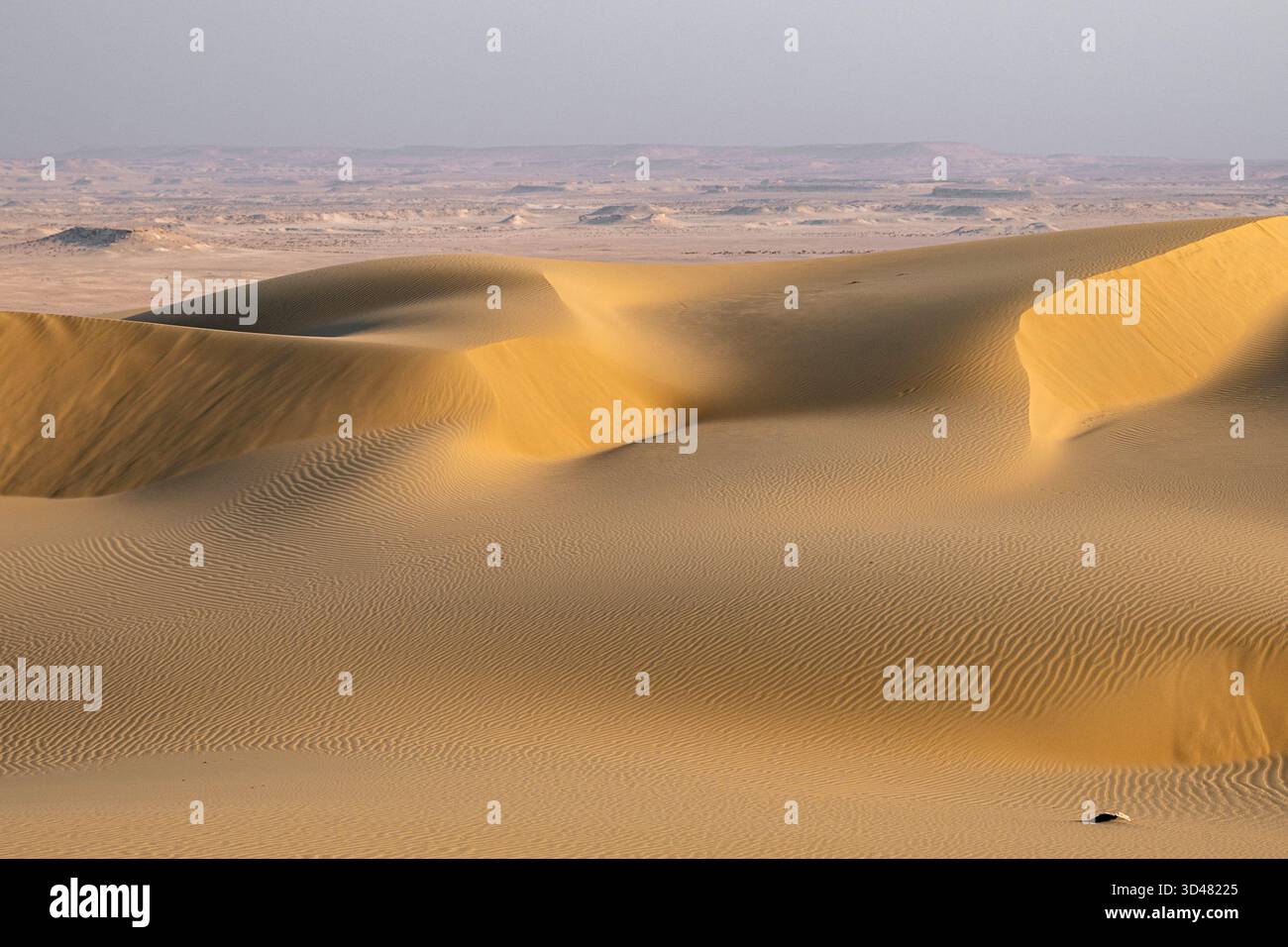 Inlan Doha, Qatar - A vast desert landscape with golden sand dunes stretching ...