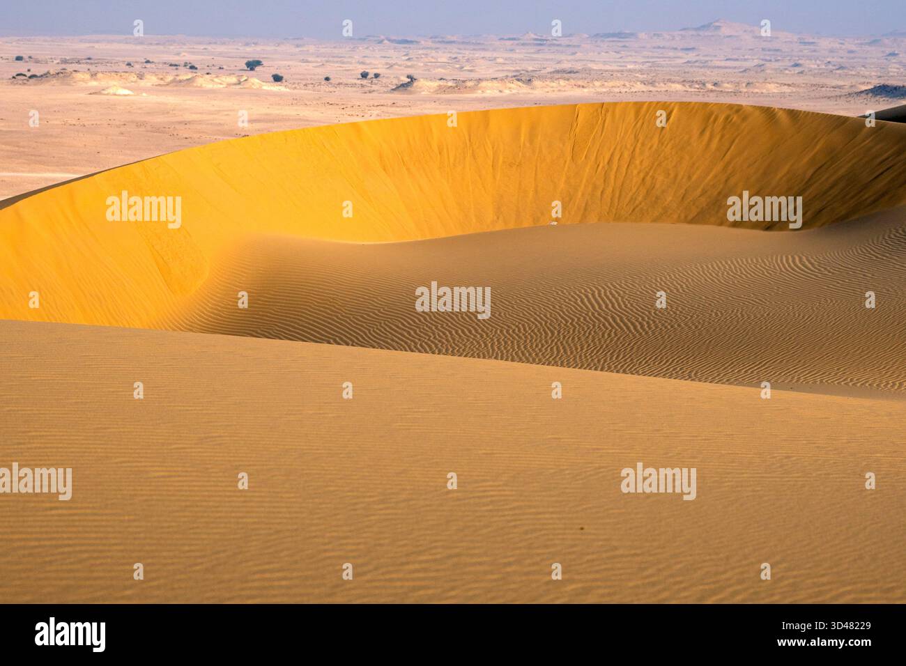 Inlan Doha, Qatar - A vast desert landscape with golden sand dunes stretching ...