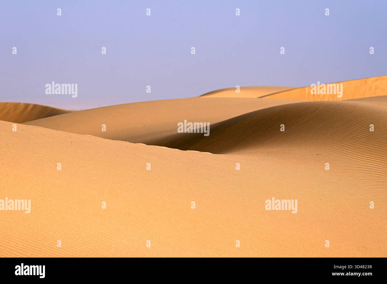 Inlan Doha, Qatar - A vast desert landscape with golden sand dunes stretching ...