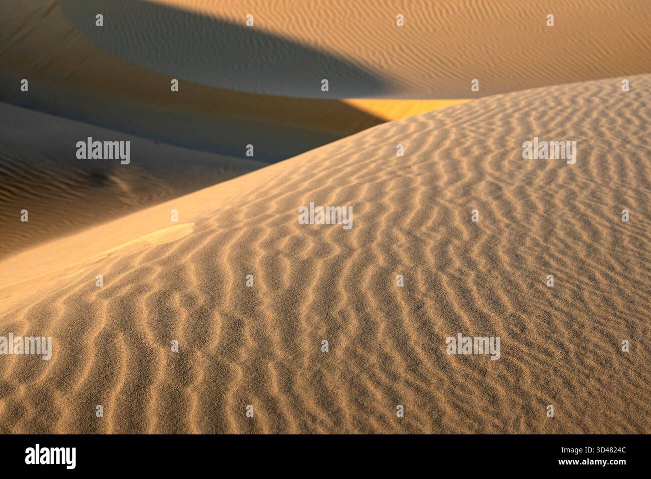 Inlan Doha, Qatar - A vast desert landscape with golden sand dunes stretching ...