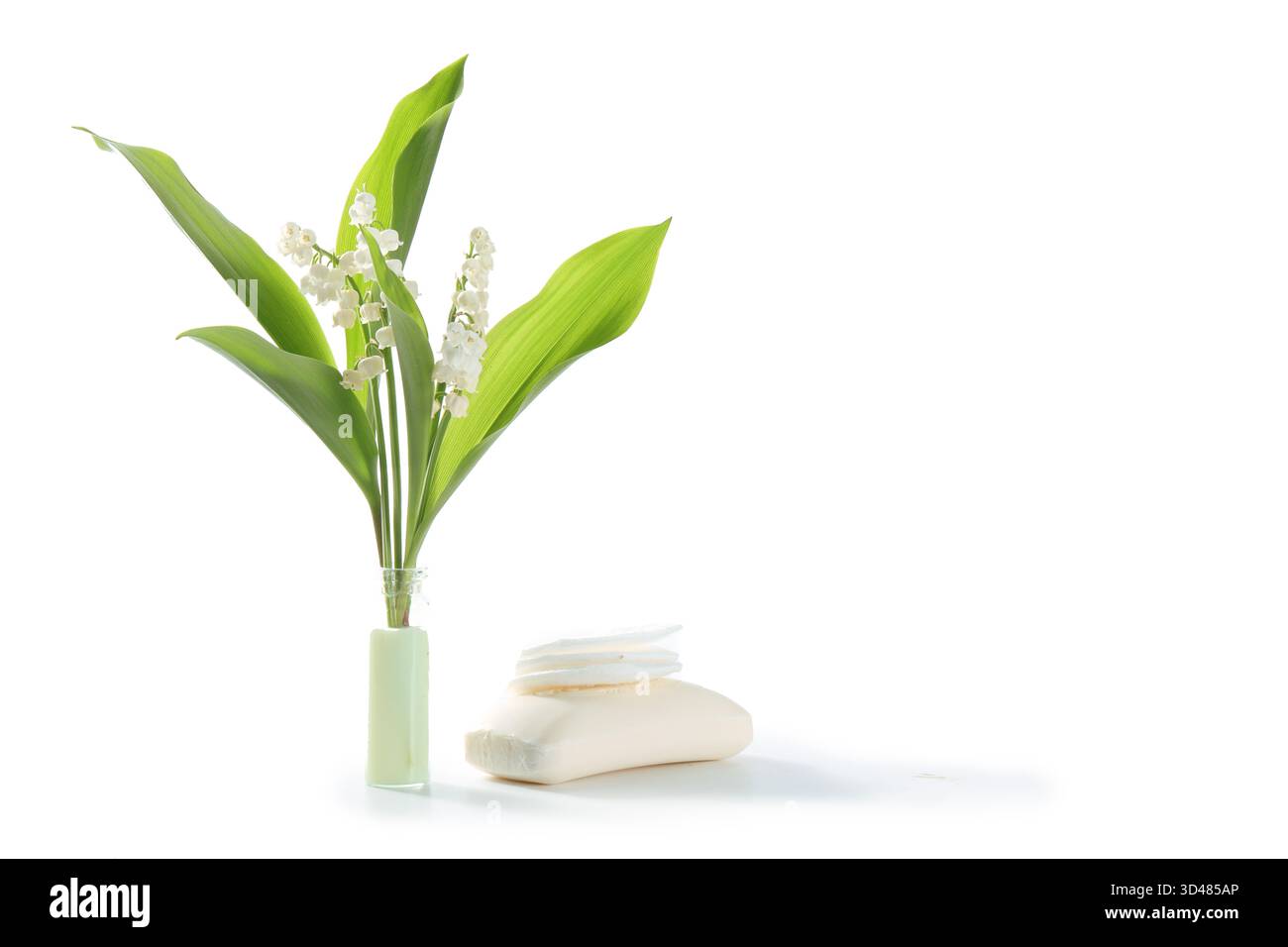 Lily of the valley isolated hi-res stock photography and images