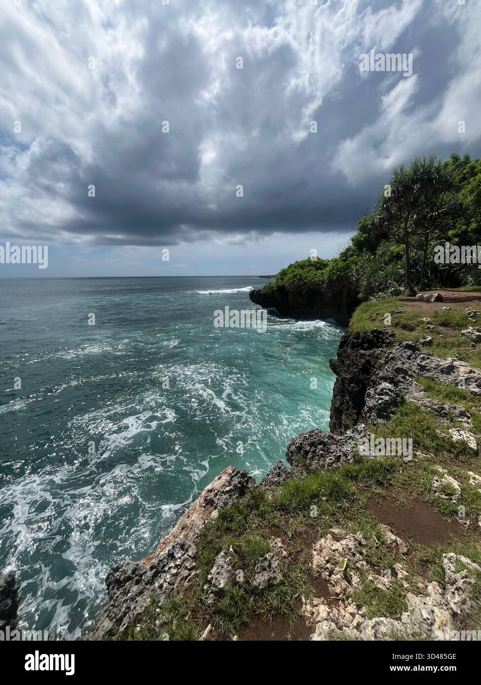A collection of tropical landscapes showcasing lush jungle waterfalls, vibrant rice fields and dramatic ocean cliffs. - Smartphone Captured Stock Image