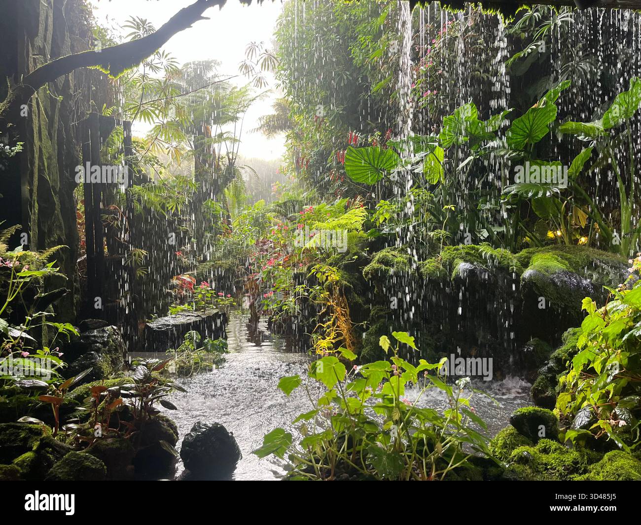 A collection of tropical landscapes showcasing lush jungle waterfalls, vibrant rice fields and dramatic ocean cliffs. - Smartphone Captured Stock Image