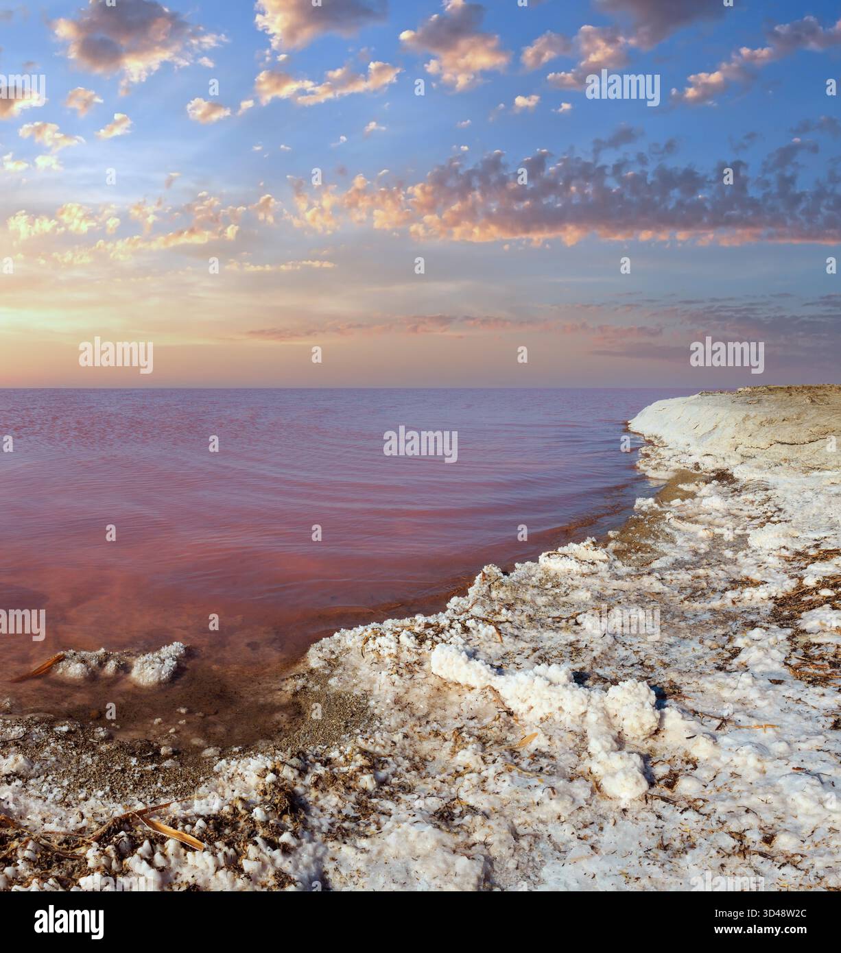 Rotten Salt Pink extremely salty Syvash Lake, colored by microalgae with ...