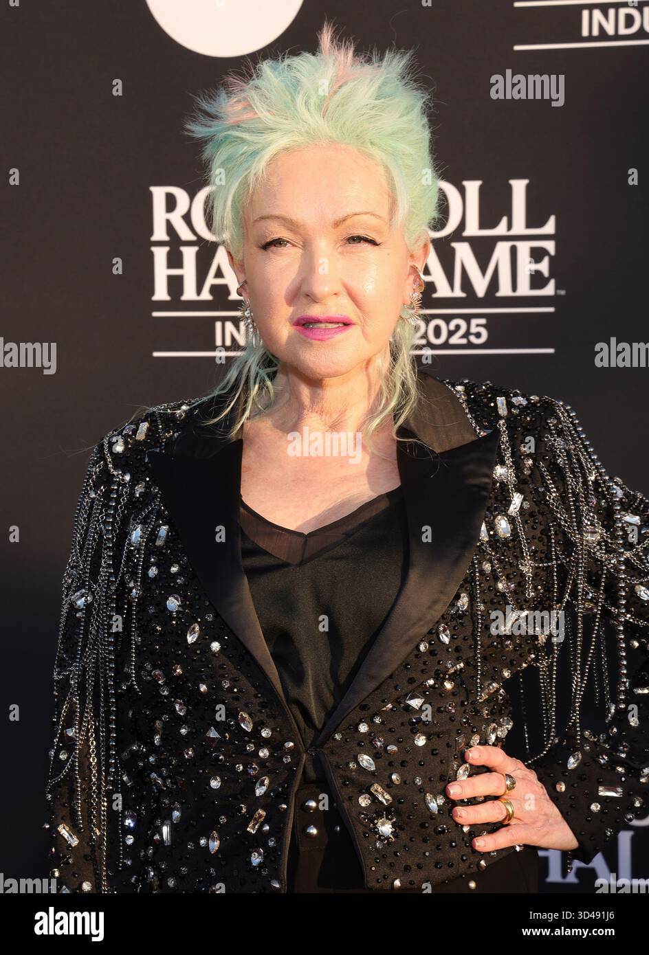 08 November 2025 - Los Angeles, California - Cyndi Lauper. 2025 Rock ...
