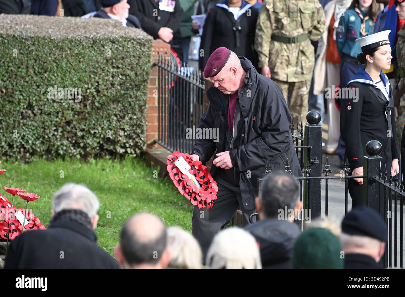 A Parachute Regiment veteran laying a wreath on the North Finchley War memorial on Remembrance Sunday 2025 - London Stock Photo