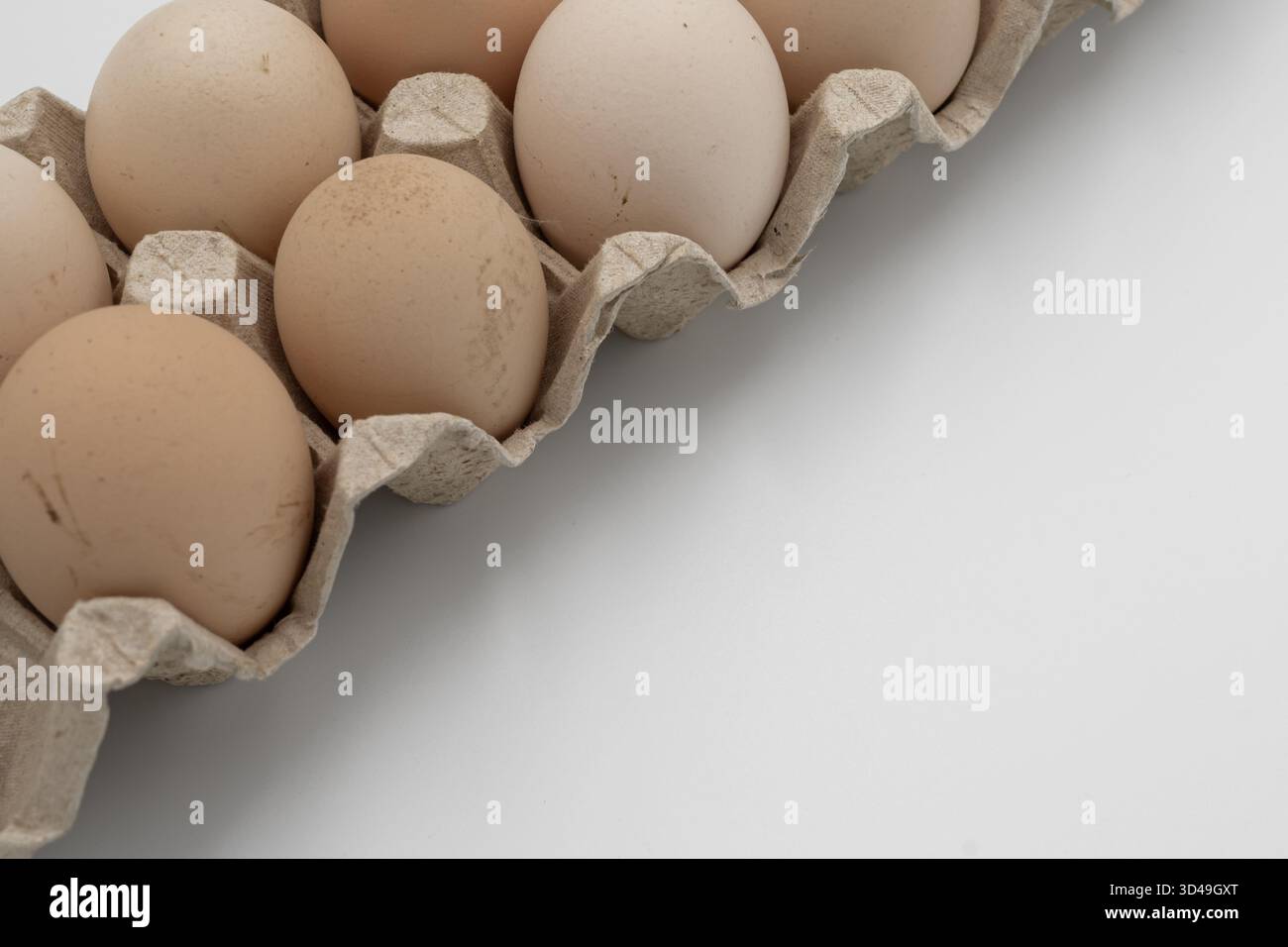 Ten brown chicken eggs in a cardboard carton on white background Stock Photo