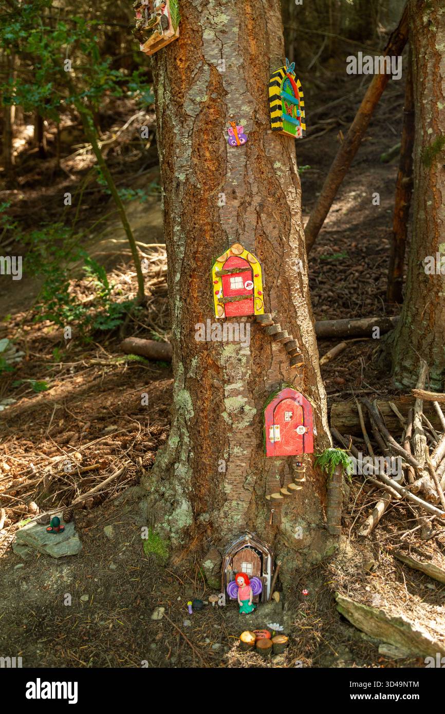 Several miniature fairy doors and houses attached to a tree trunk, Queenstown, Otago, New Zealand Stock Photo