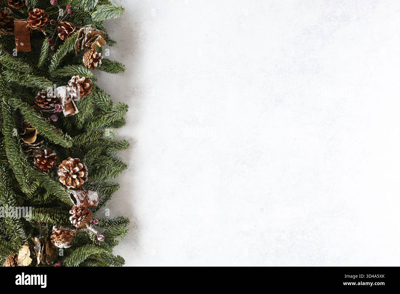 Christmas background with fir branches and snowy pine cones. White ...