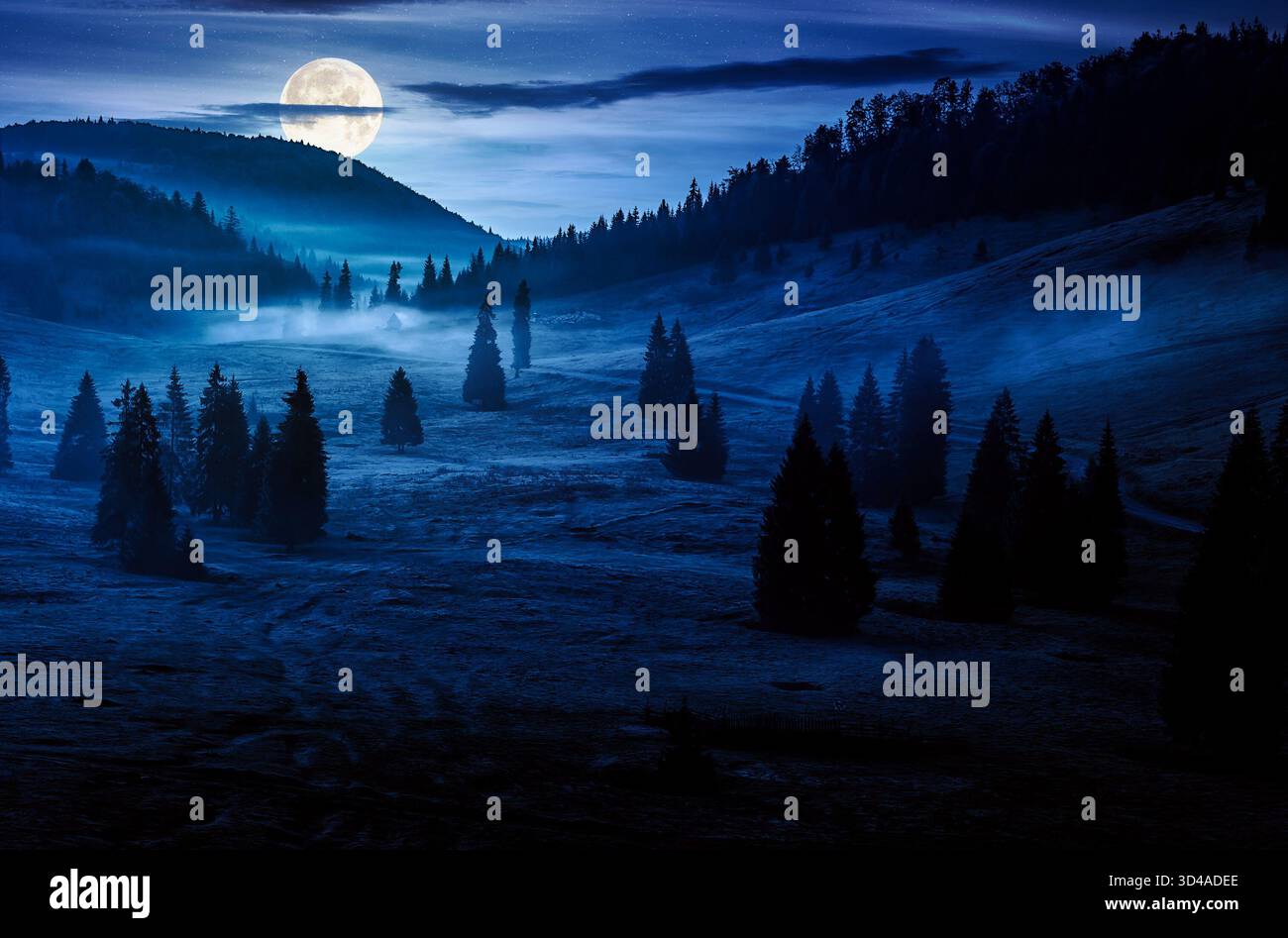 spruce forest on mountain hill side in fog at night. wonderful nature landscape in autumn in full moon light. background for investment or abstract co Stock Photo