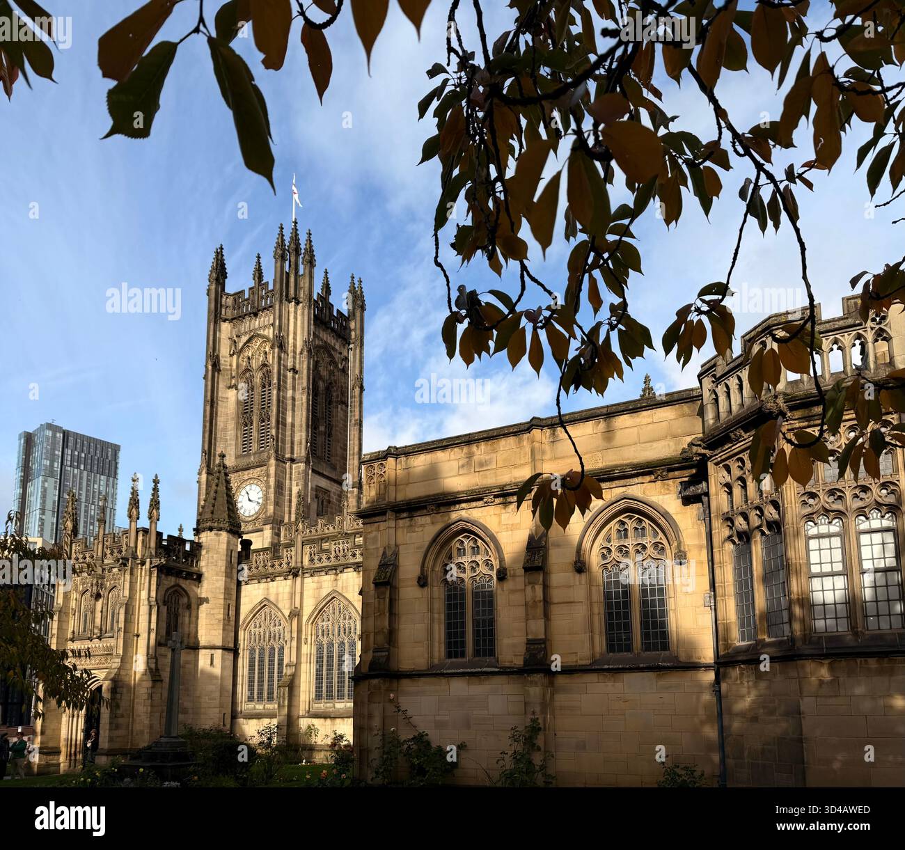 Manchester Cathedral against a blue sky in the City Centre - Smartphone Captured Stock Image