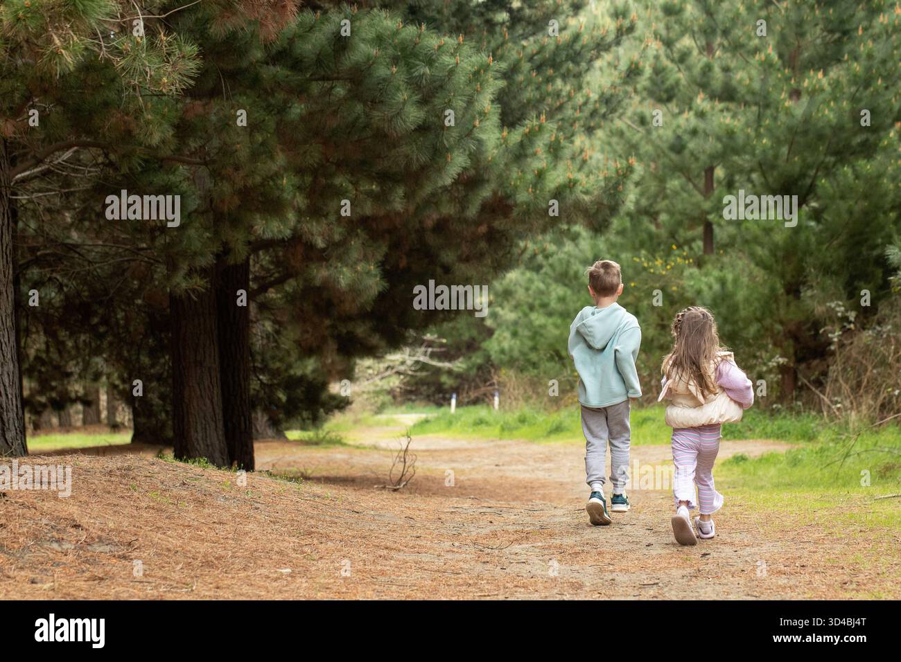 Two children running together along a forest path, surrounded by tall ...