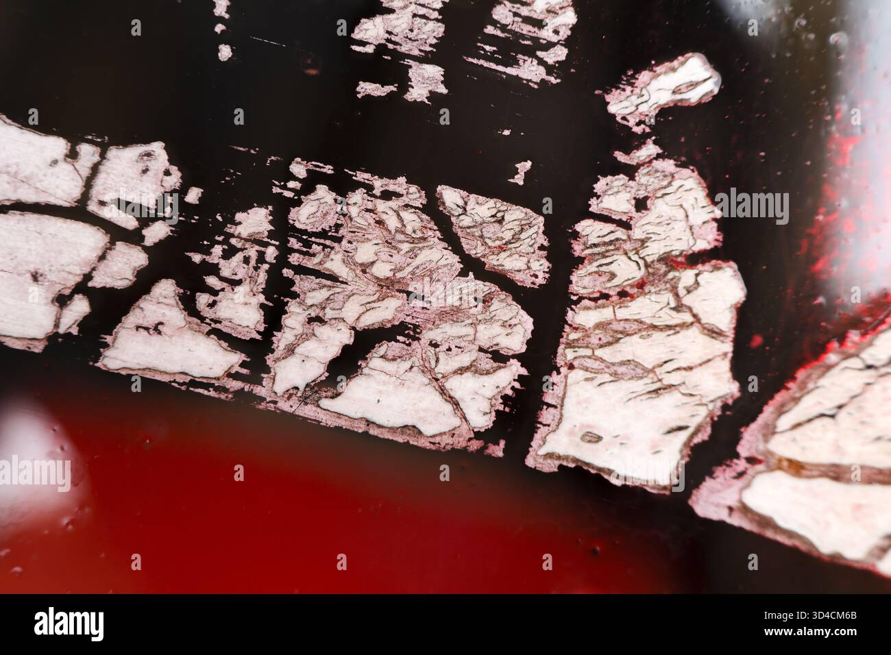 Fragmentation hi-res stock photography and images - Alamy