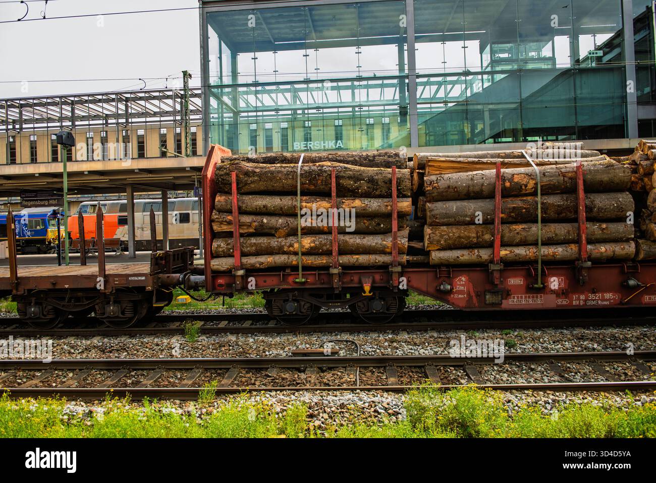 A freight wagon with logs stands in a train station in Germany Stock Photo