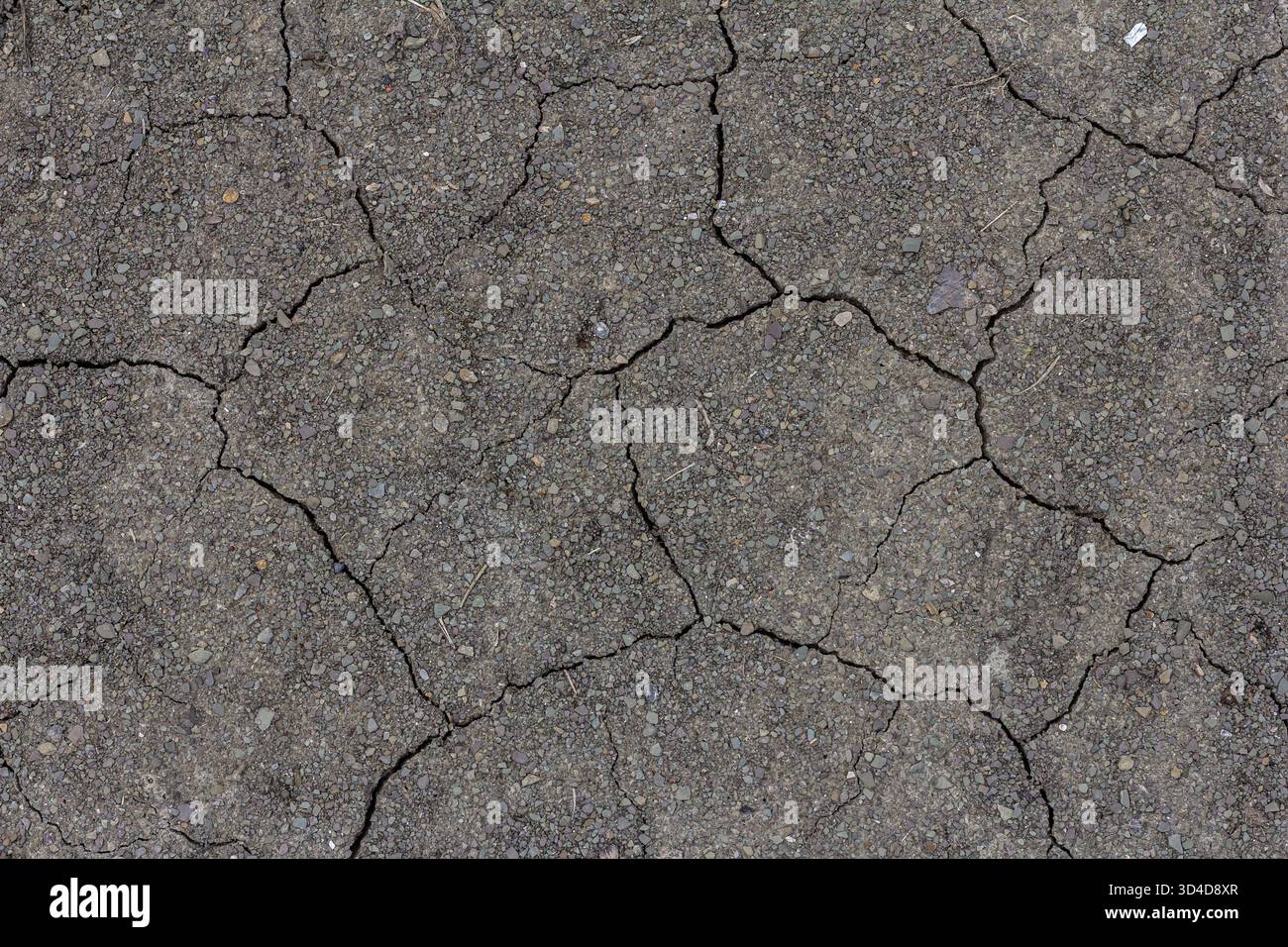 Dry cracked earth showing signs of drought during summer in an arid ...
