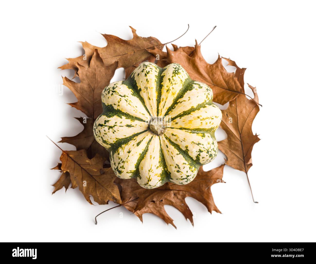 Sweet dumpling pumpkin isolated on a white background. Stock Photo