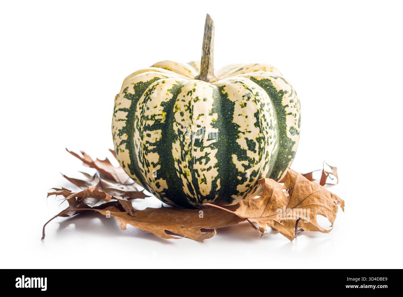 Sweet dumpling pumpkin isolated on a white background. Stock Photo