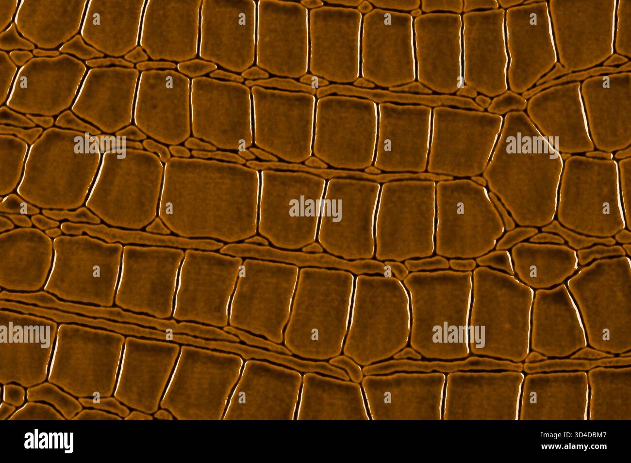 Shiny brown leather surface close up. Stock Photo