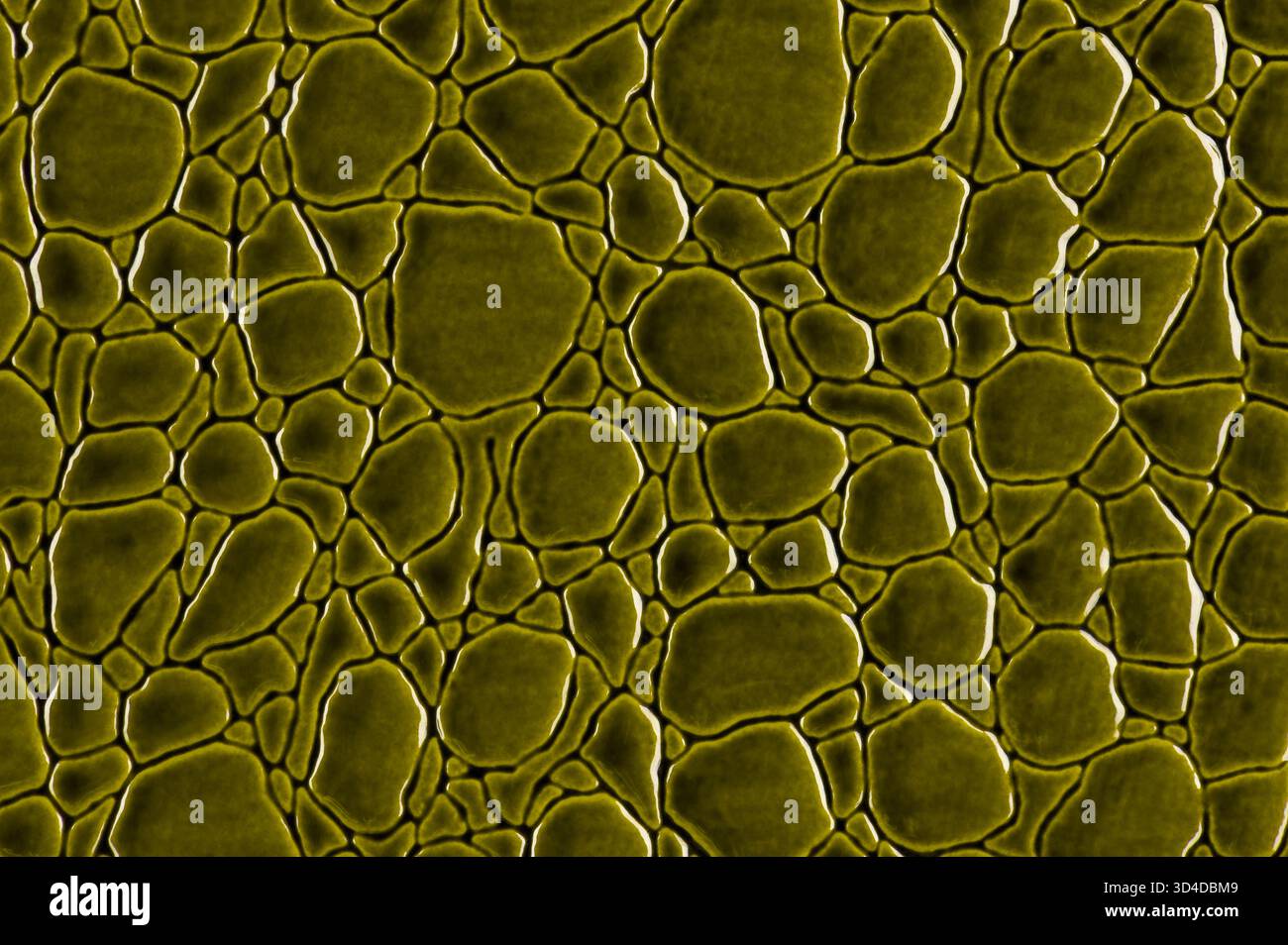 Shiny green leather surface close up. Stock Photo