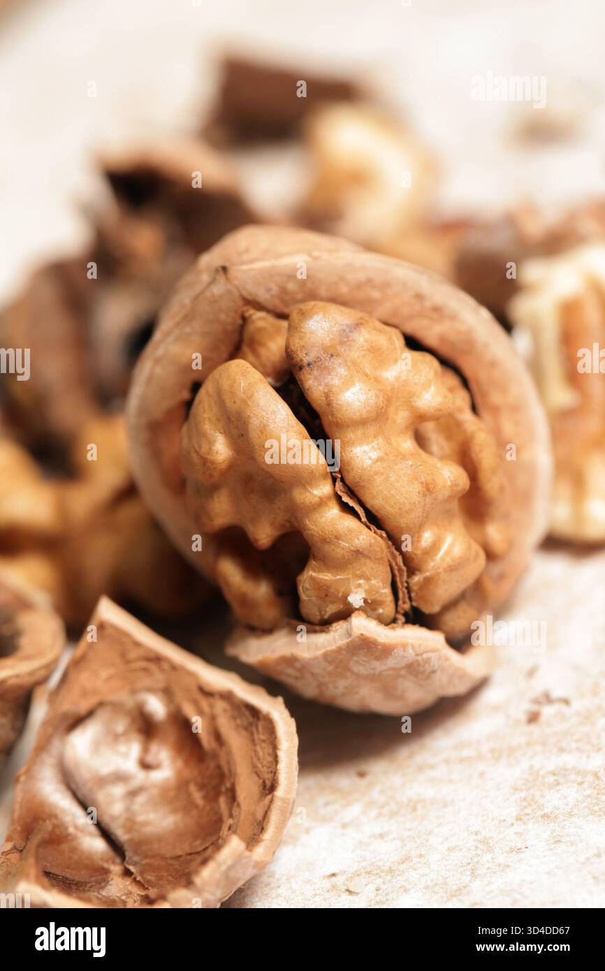 Whole and cracked walnuts and nutcracker Stock Photo