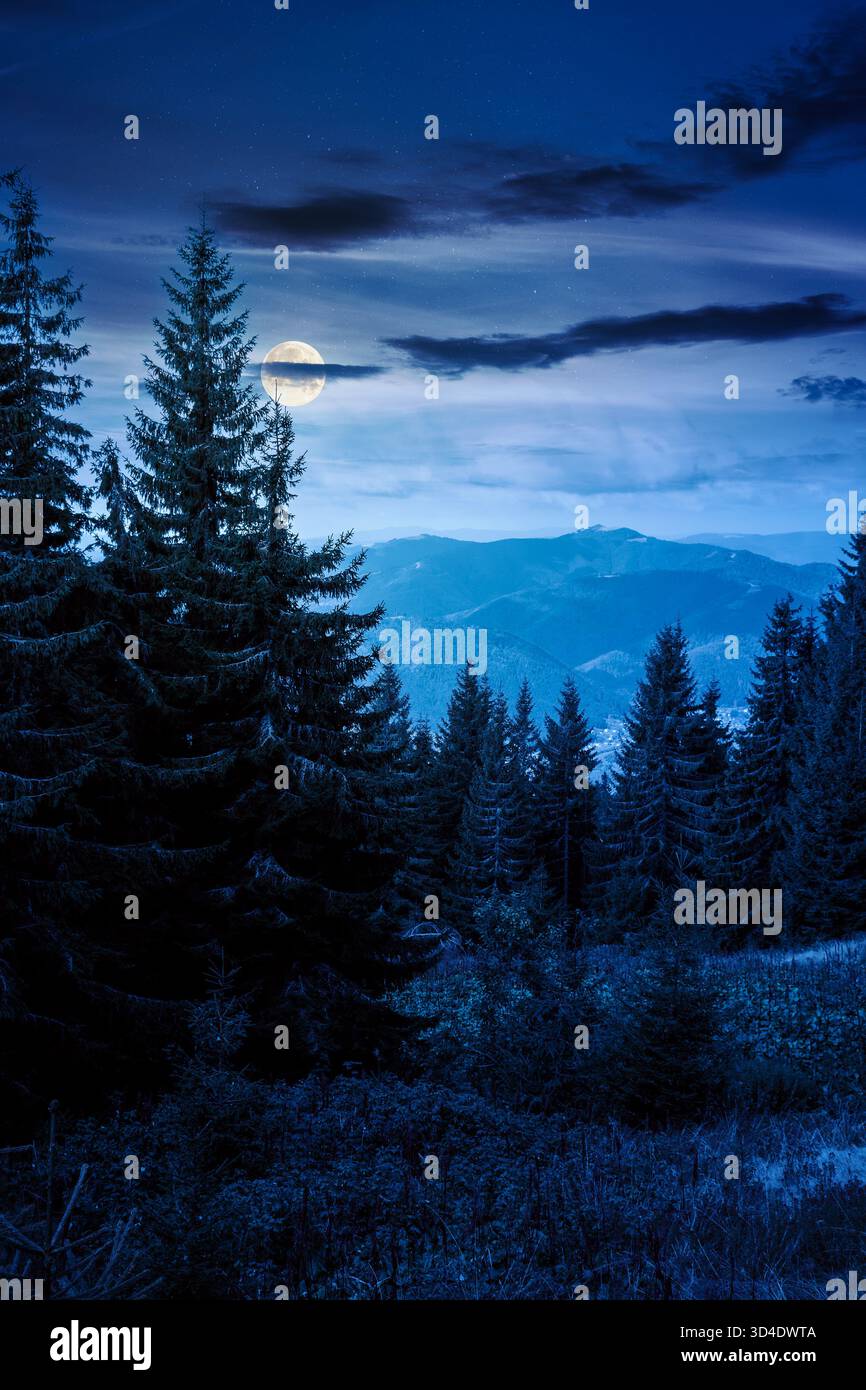 mountain landscape of ukraine with evergreen forest in autumn at night. beautiful place in carpathians with coniferous trees on hillside under cloudy Stock Photo