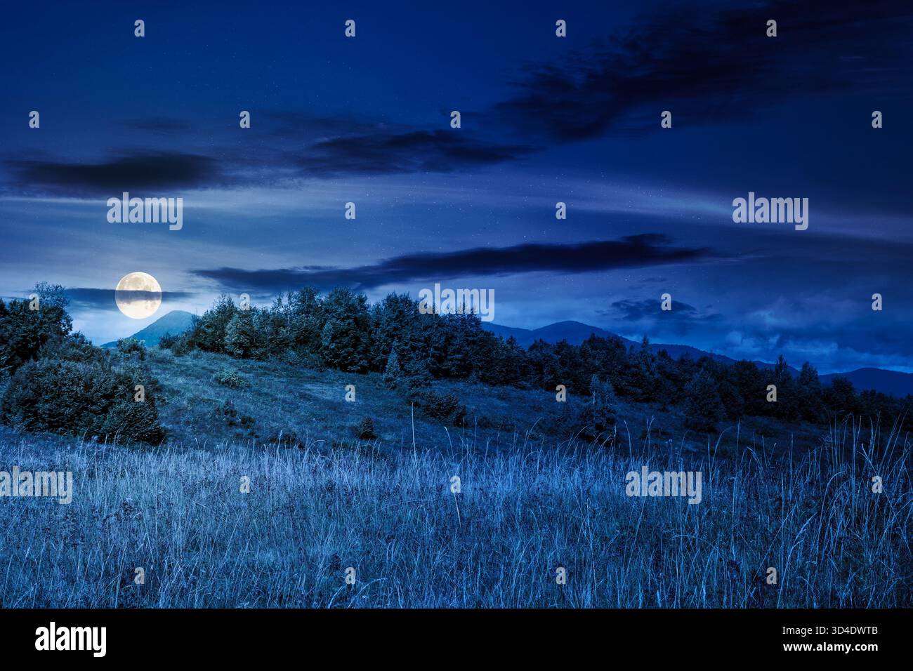 mountain landscape with foliage forest in autumn at night. beautiful beech woodland on rolling hills in highland of under dark sky in full moon light. Stock Photo