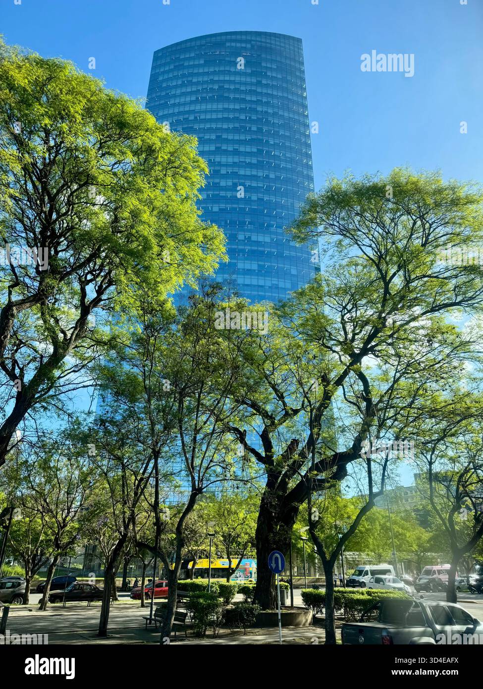 YPF Tower skyscraper framed by green trees in Puerto Madero, Buenos Aires - Smartphone Captured Stock Image