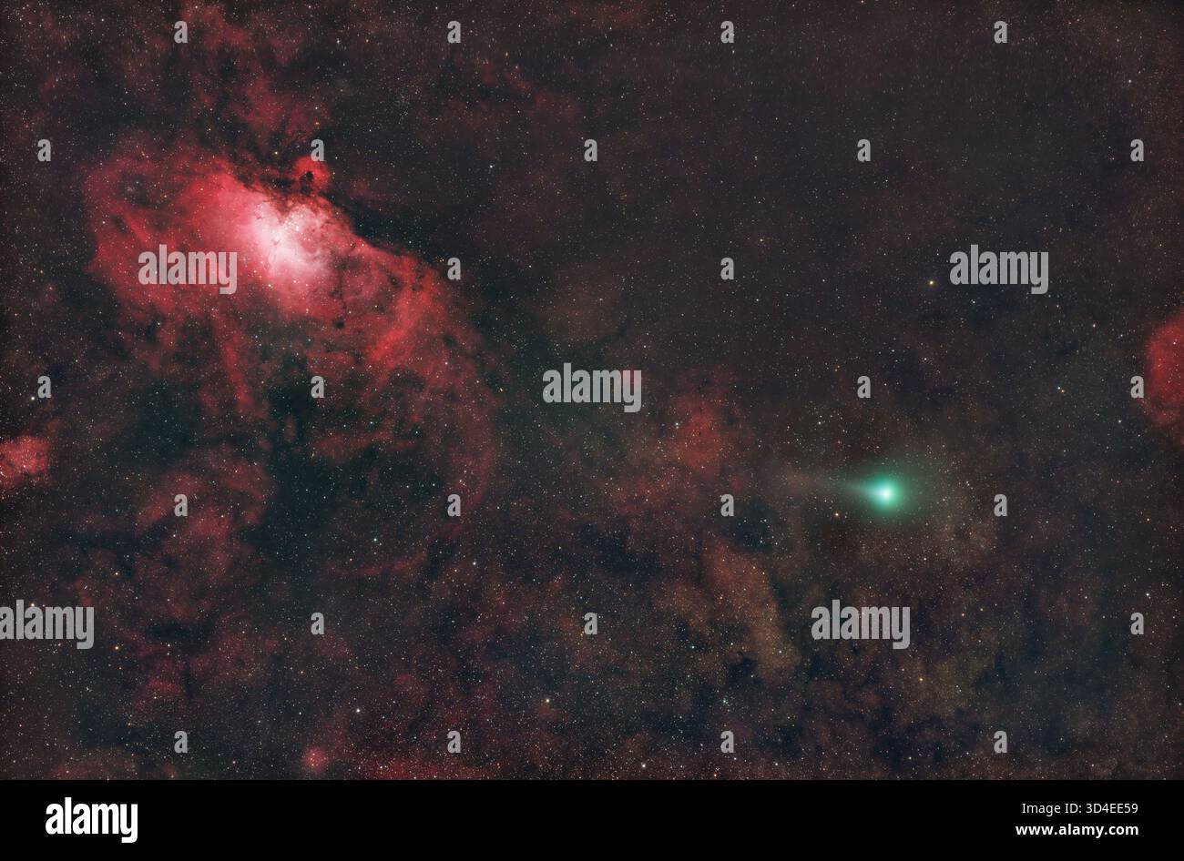 Comet swan hi-res stock photography and images - Alamy