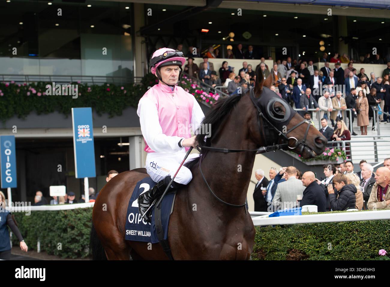 Why Owners Prioritize Race Selection Over Prestige