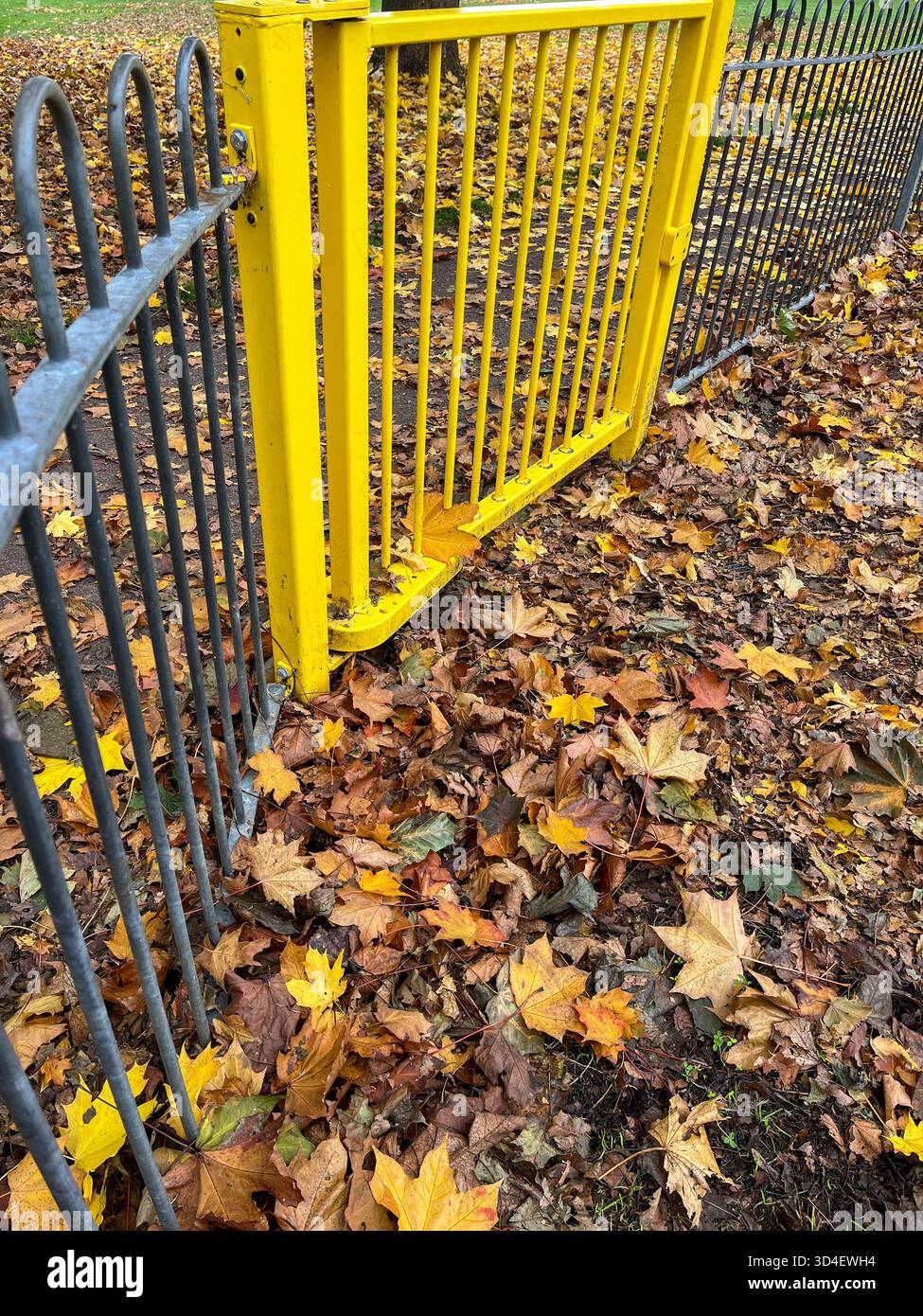 Autumn Park with Gray Metal Fence and Bright Yellow Gate at the playground in England - Smartphone Captured Stock Image