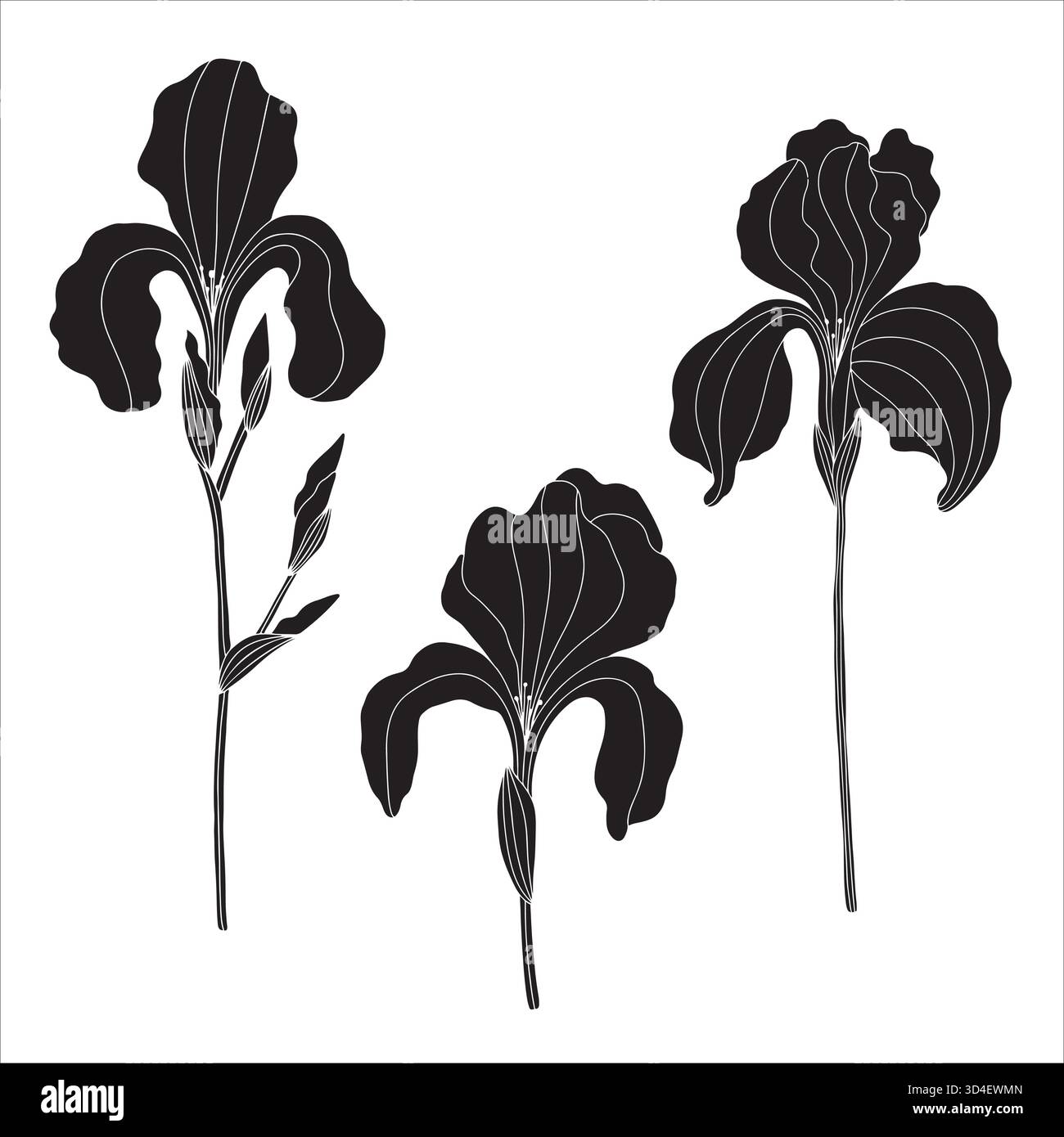 Non-AI Vector iris flower heads. Collection of stylized iris flower ...