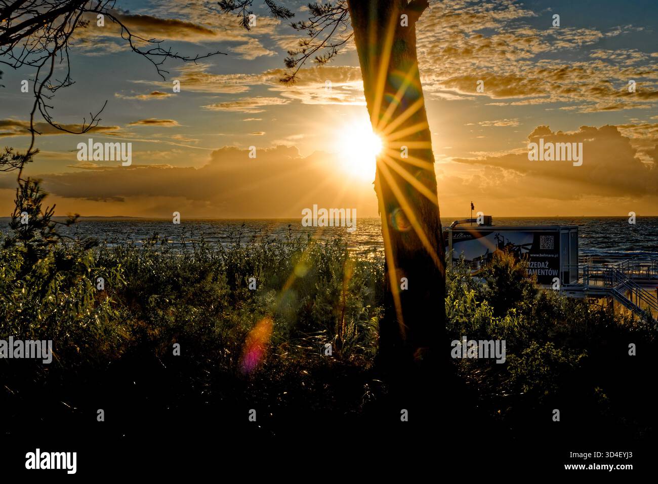 Sun flare over coastal trees hi-res stock photography and images - Alamy
