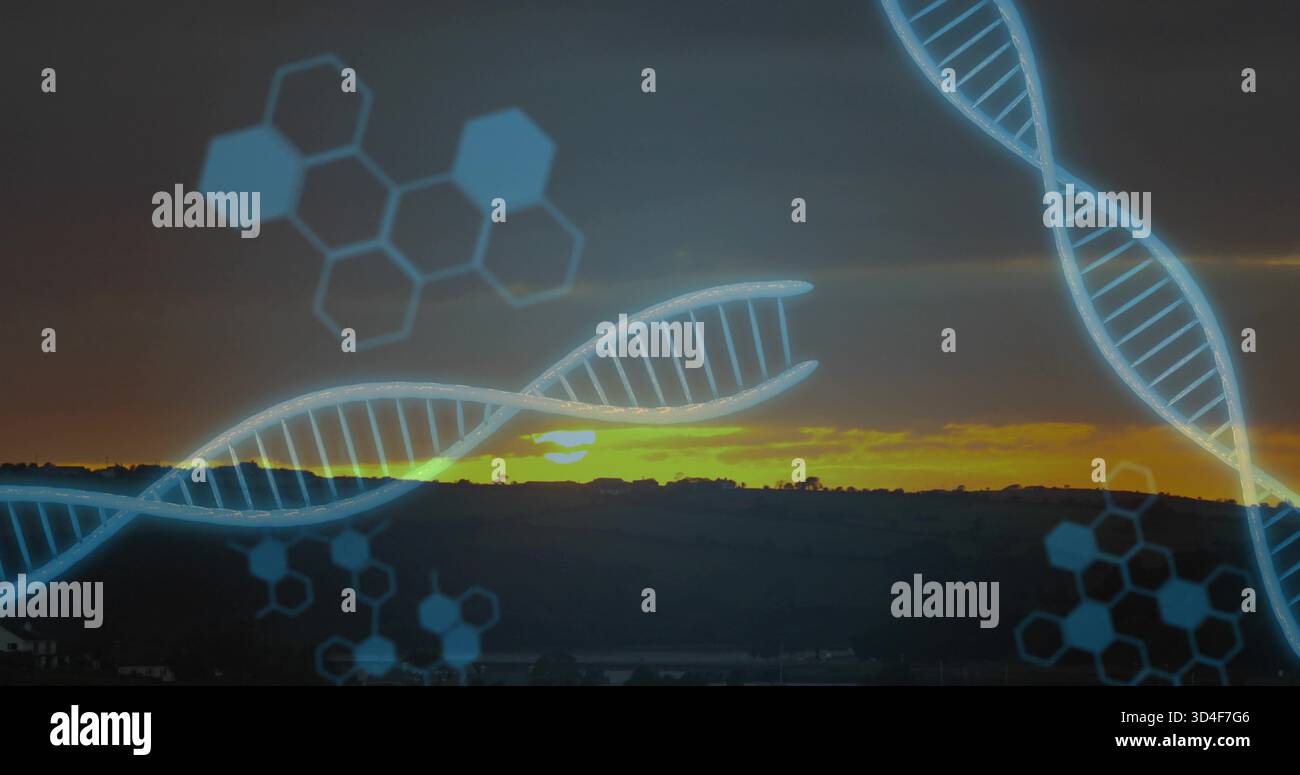 Glowing blue DNA helix spanning rural hillside at sunset with hexagonal molecular motifs Stock Photo